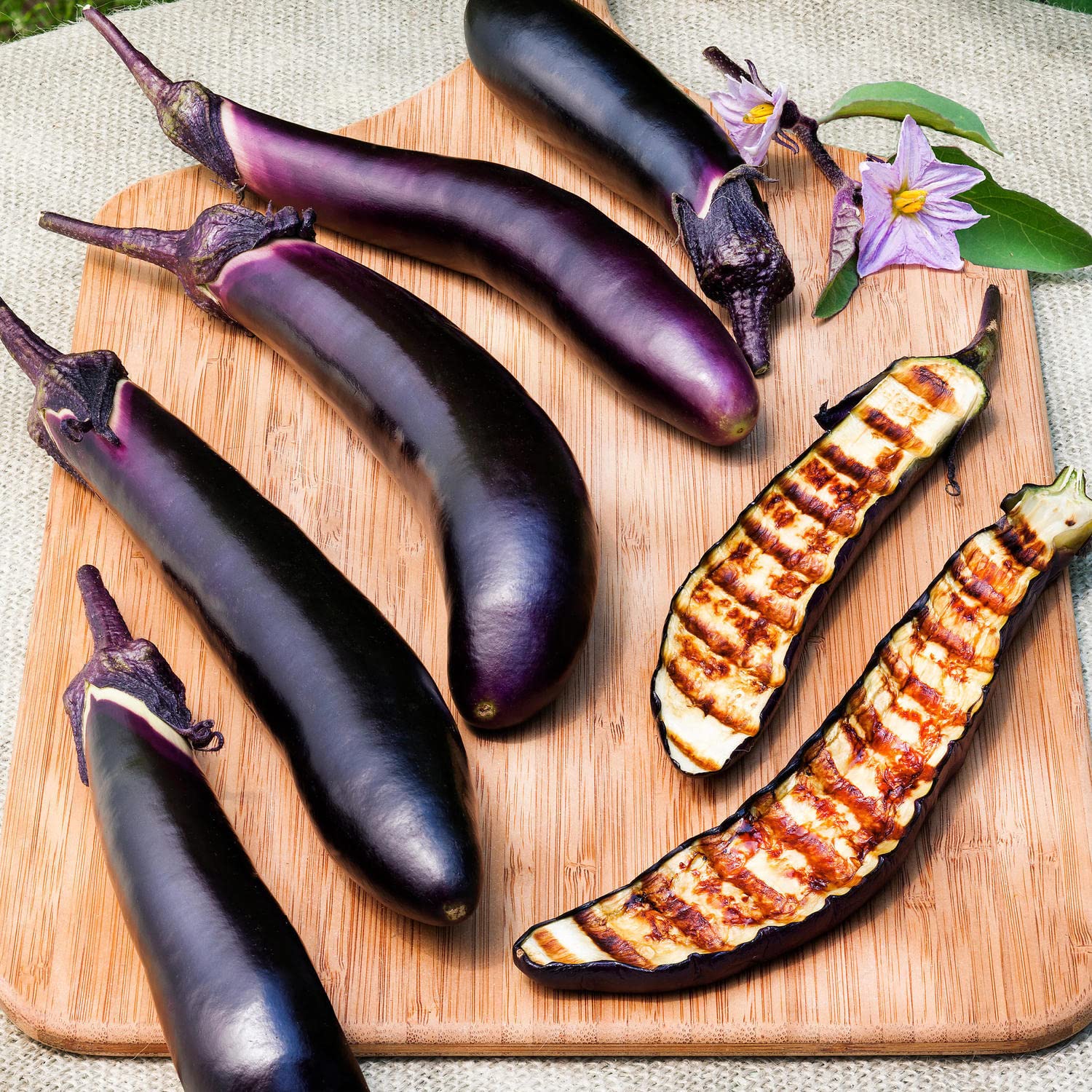 Bonnie Plants Ichiban Japanese Eggplant - 4 Pack Live Plants for Container Gardening, 10 Inch Long Fruit, Perfect for Grilling, Roasting & Asian Cuisine - Ideal for Home Gardens, Patios & Urban Farming