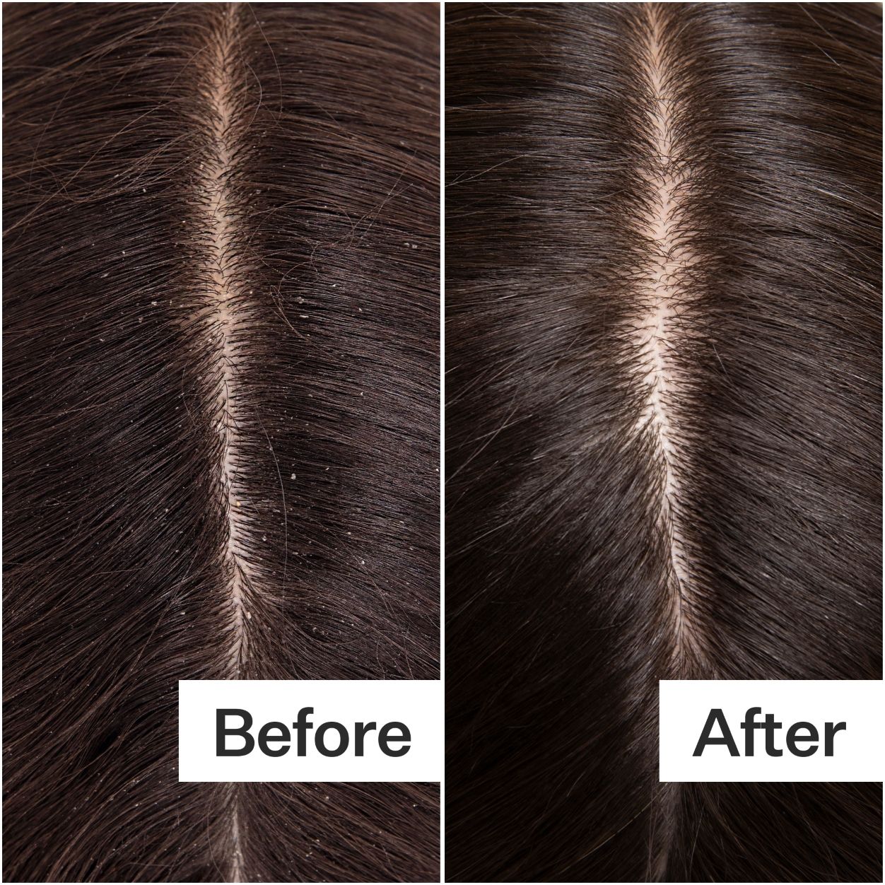 Cold Processed Hair Cleanse Shampoo - Natural & Gentle Formula for Healthy Hair - Perfect for Daily Use & Scalp Care