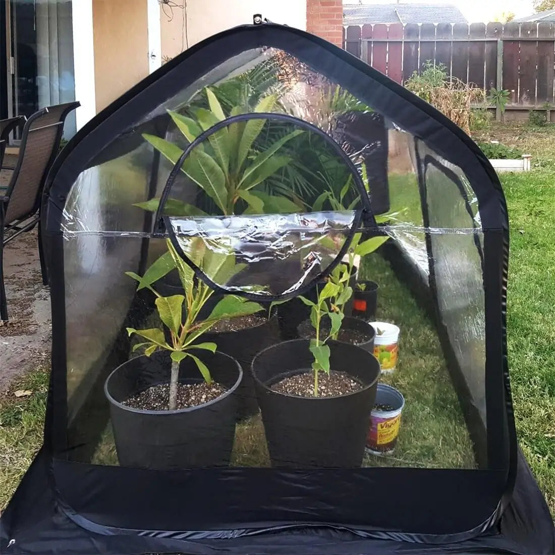 98 x 49 x 53 Inch Small Greenhouse for Plants & Gardening - Perfect for Backyards, Balconies & Indoor Herb Growing