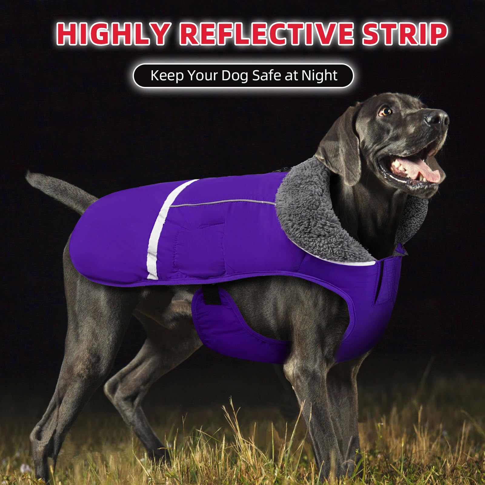 **Doglay Waterproof Dog Winter Coat - Thick Fleece Lined, Reflective, Warm Jacket for Small Medium Large Dogs - Cold Weather & Snow Protection for Outdoor Adventures**