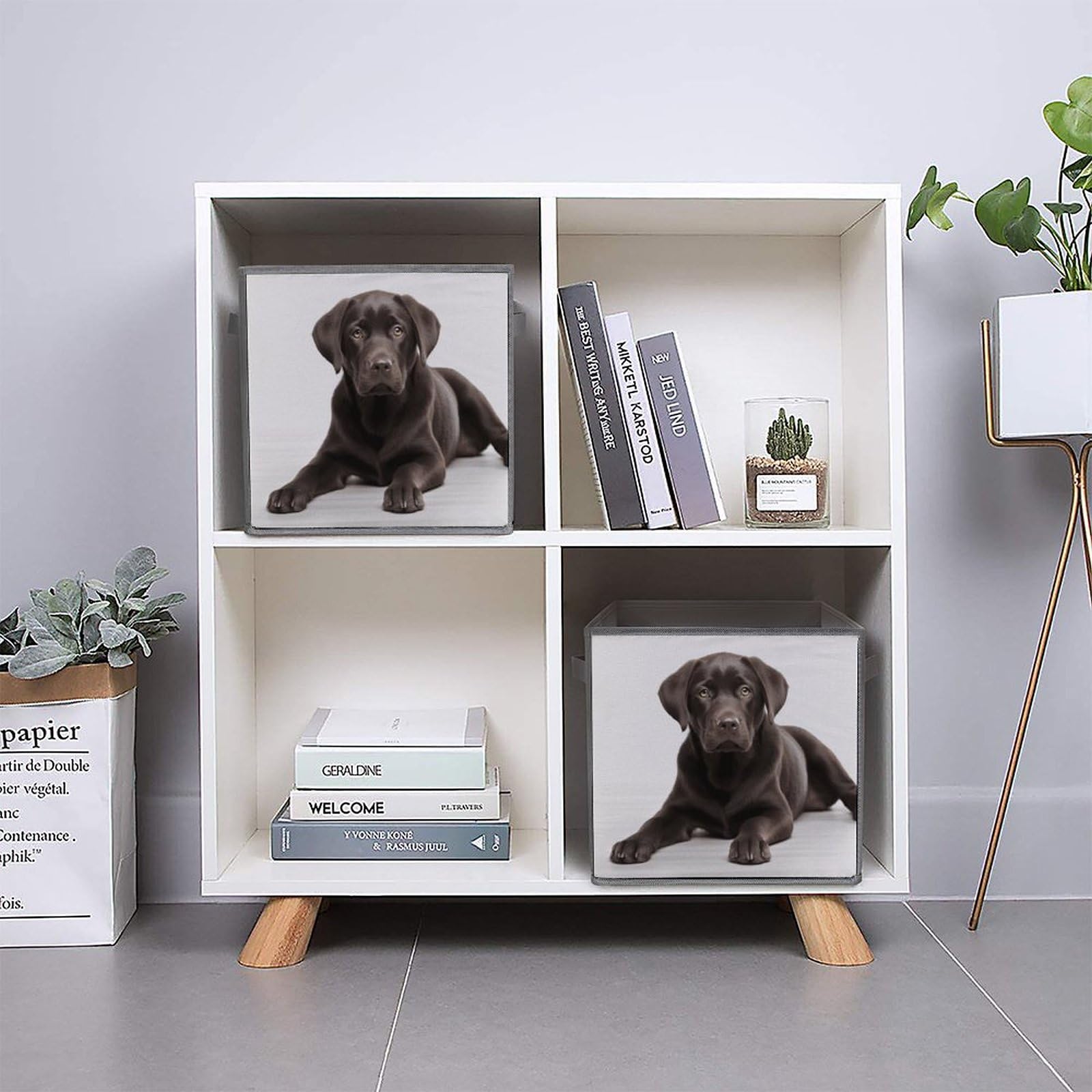 6-Pack Collapsible Storage Bins with Handles - Dog Printed Foldable Organizer Boxes for Home, Kitchen, Bathroom & Pet Supplies | Space-Saving Shelving Baskets for Closet, Laundry & Toy Storage