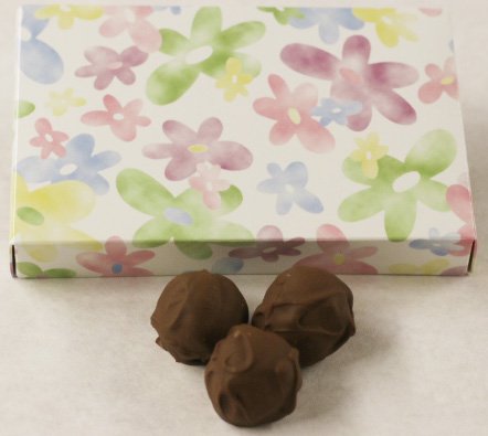 Scott's Cakes Premium Milk Chocolate Covered Apricot Truffles - 1 Pound Gift Box with Daisy Design | Perfect for Holidays, Birthday Gifts & Gourmet Dessert Platters