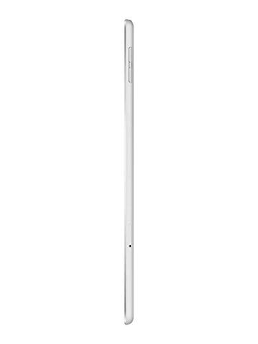 Refurbished Apple iPad Mini 5 256GB WiFi + Cellular Unlocked - Silver - Portable Tablet for Work, Travel & Entertainment