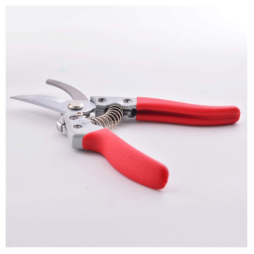 Professional Garden Pruning Shears - Sharp Bypass Pruner for Flowers & Branches | Manual Branch Trimmer & Plant Scissors | Ergonomic Red Gardening Tools for Women | Perfect for Trimming Roses, Shrubs & Indoor Plants