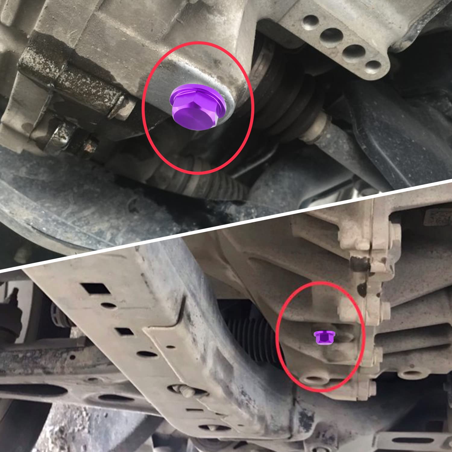 M14 x1.5 Magnetic Oil Drain Plug Kit with Gaskets - Compatible with Honda Civic, Accord, Clarity, City & Acura CL, CSX - Purple Engine Oil Drain Plug Accessory for Improved Engine Protection & Maintenance