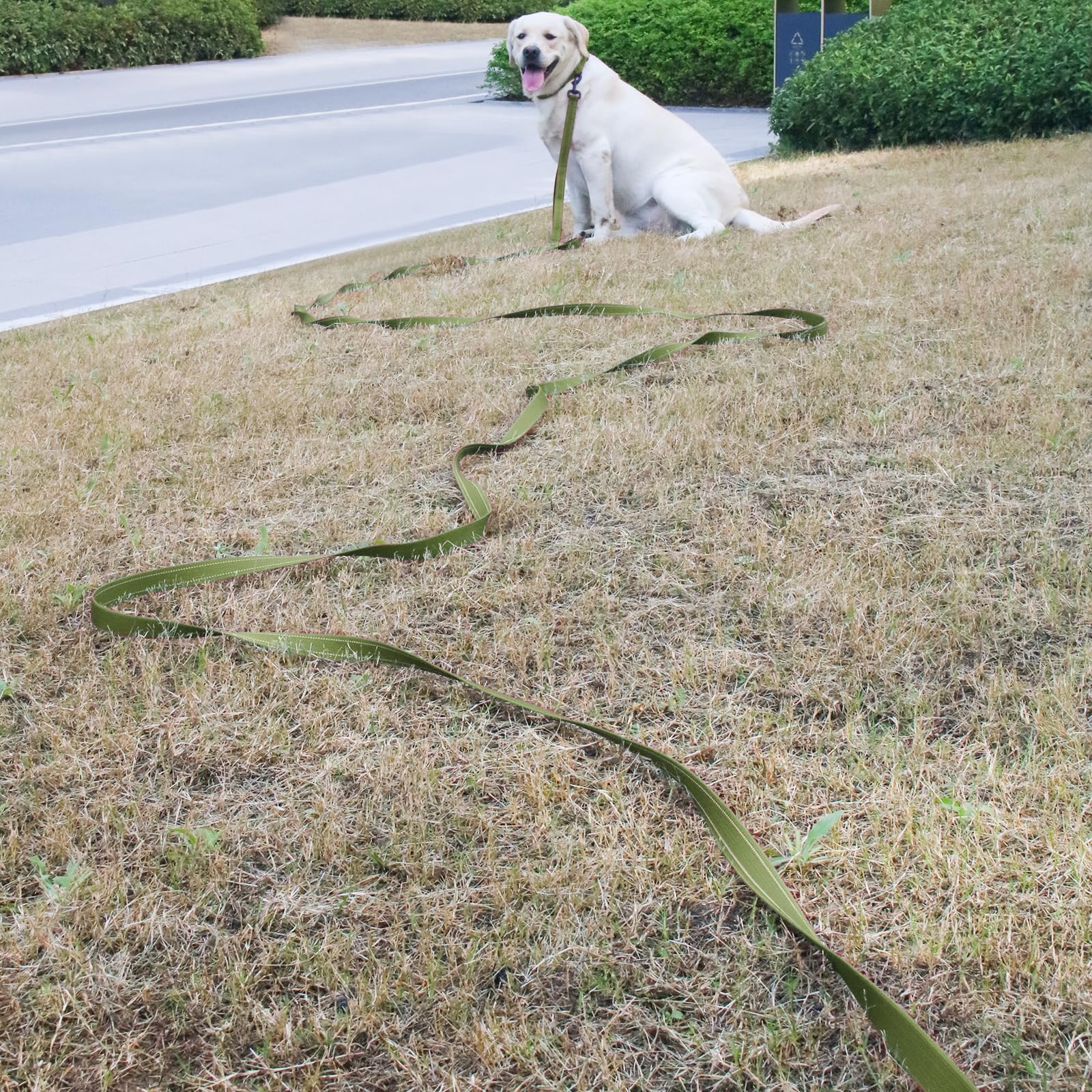 30FT Heavy Duty Reflective Dog Leash with 2 Soft Padded Handles - Durable Training & Walking Lead for Small, Medium & Large Dogs - Perfect for Outdoor Adventures, Jogging, Hiking and Nighttime Safety