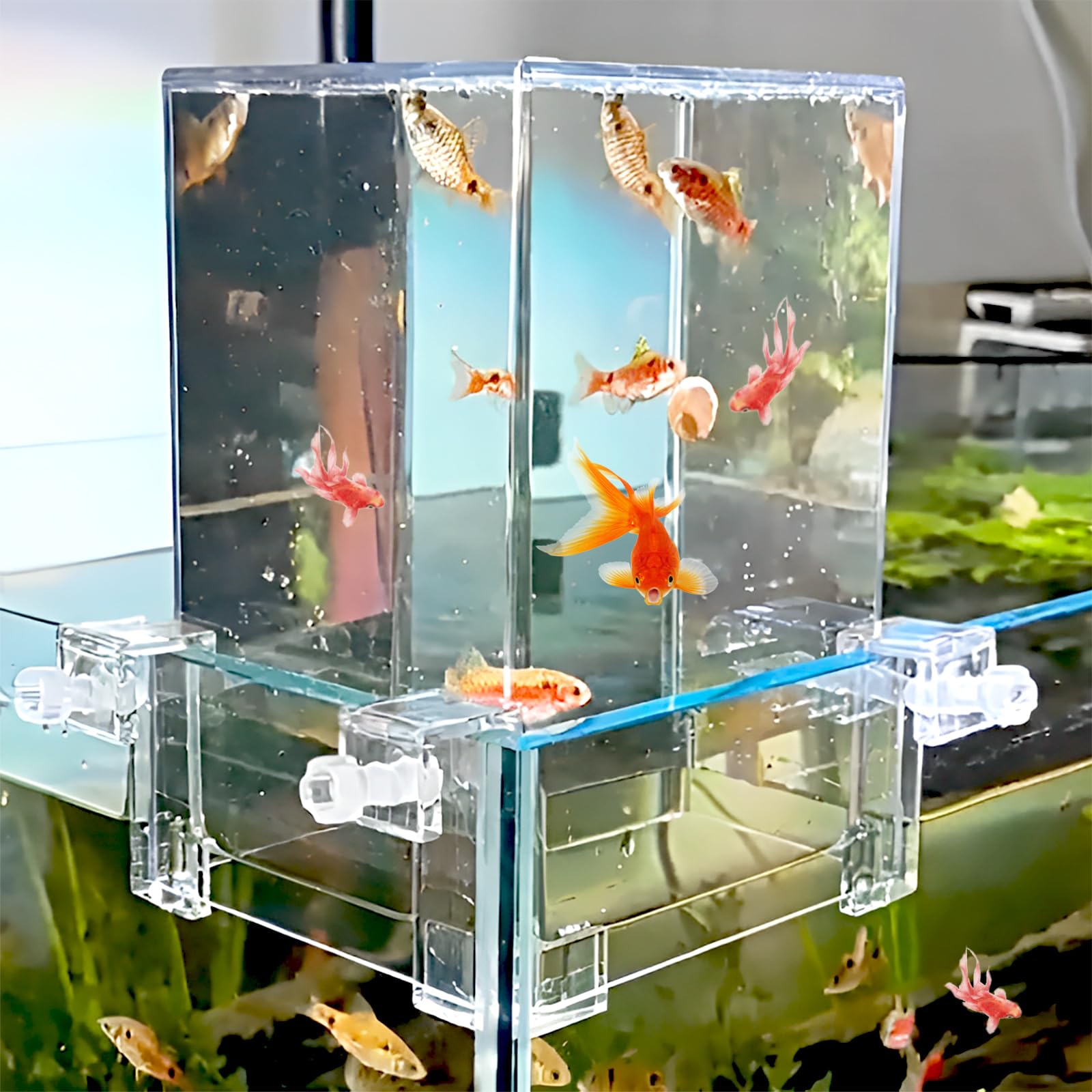 1Pc Clear Above Water Fish Tank - Aerial Extender Fish Elevator with Auto-Refill | Transparent Fish Tower for Aquarium Decoration | Increases Space for Ecological Landscaping | Perfect for Home, Office, and Pet Store Displays
