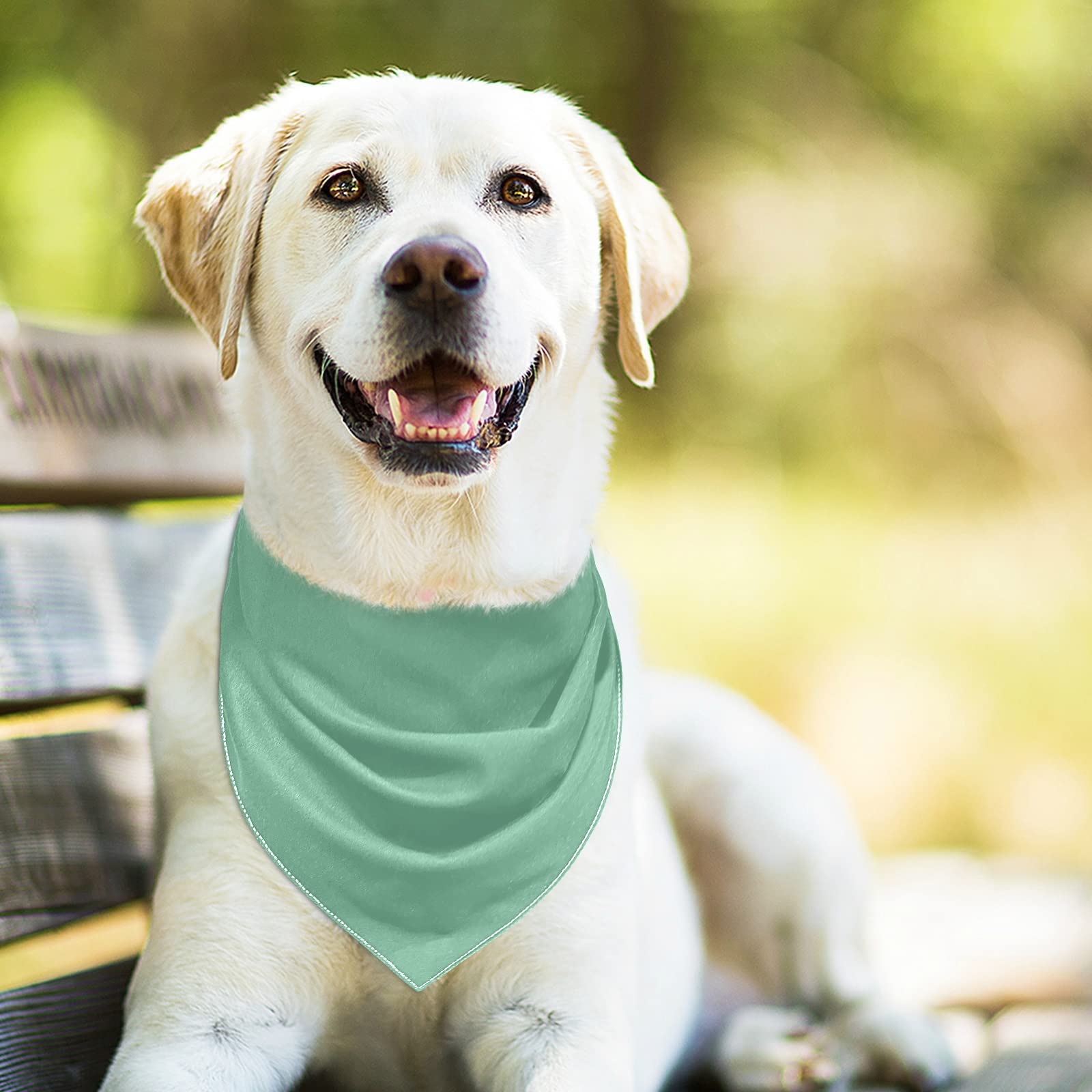 2 Pack Sage Green Milk Silk Dog Bandanas - Adjustable Snap Button Triangle Scarf for Small to Large Dogs & Cats - Perfect for Holidays, Parties & Everyday Pet Accessories
