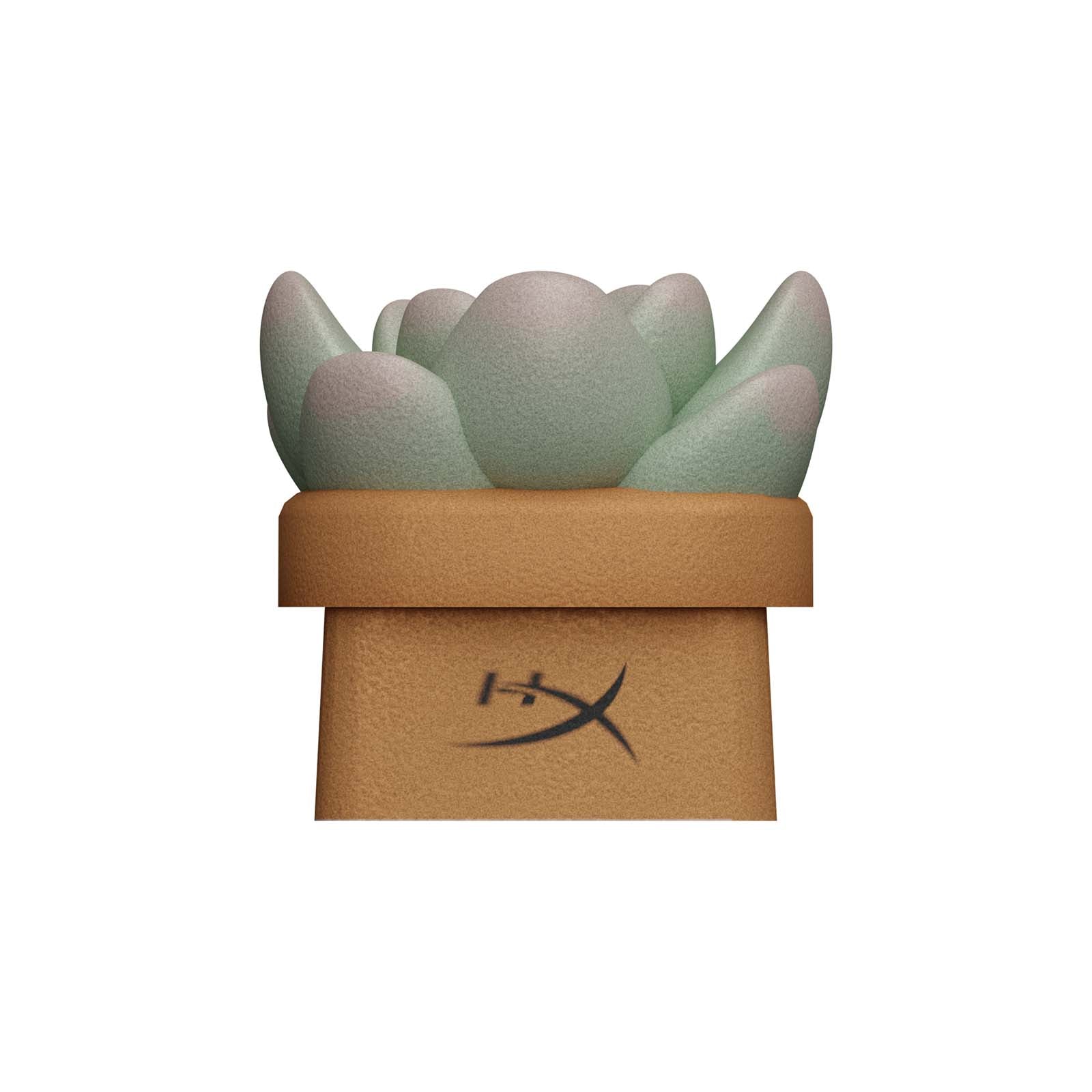 HX3D Custom Keycap - Sally the Succulent Design for Mechanical Keyboards | Perfect for Gaming & Typing Enthusiasts