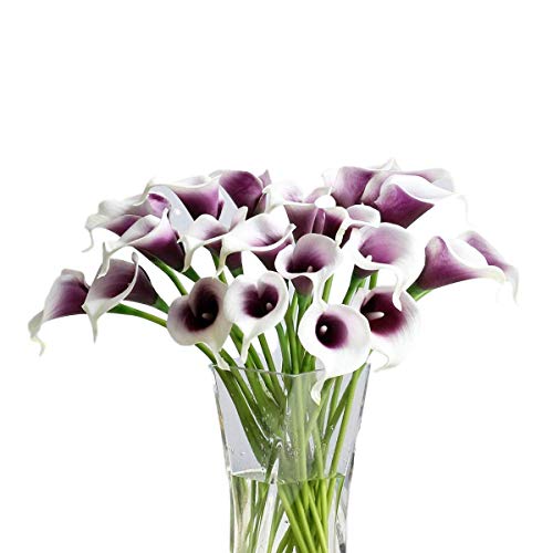 Purple White