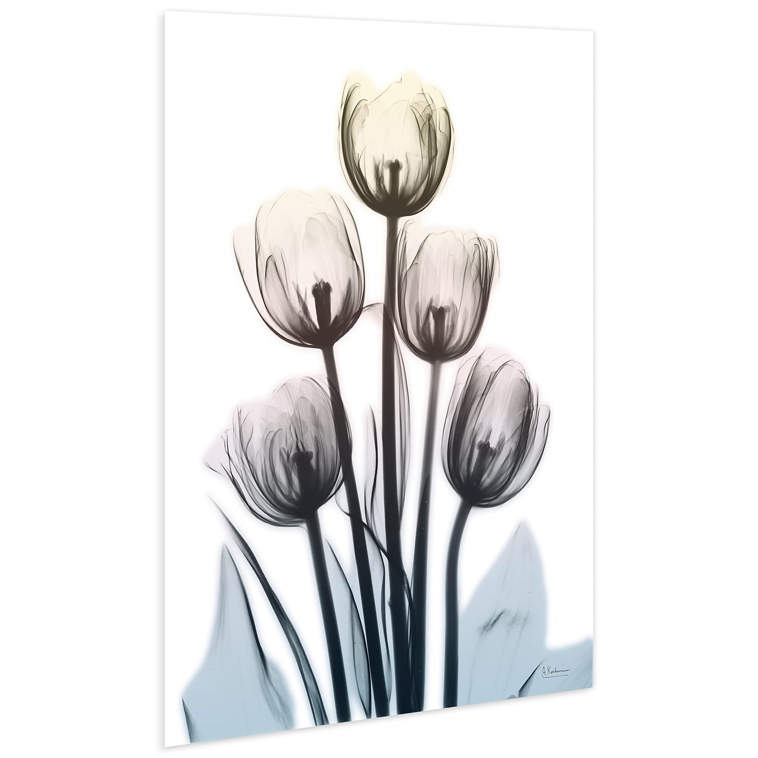 Empire Art Direct 48x32 Inch Frameless Tempered Glass Wall Art - Spring Tulips Floral Photography Print for Living Room, Bedroom & Home Office Decor | Ready to Hang Modern Wall Decor for Housewarming & Interior Design
