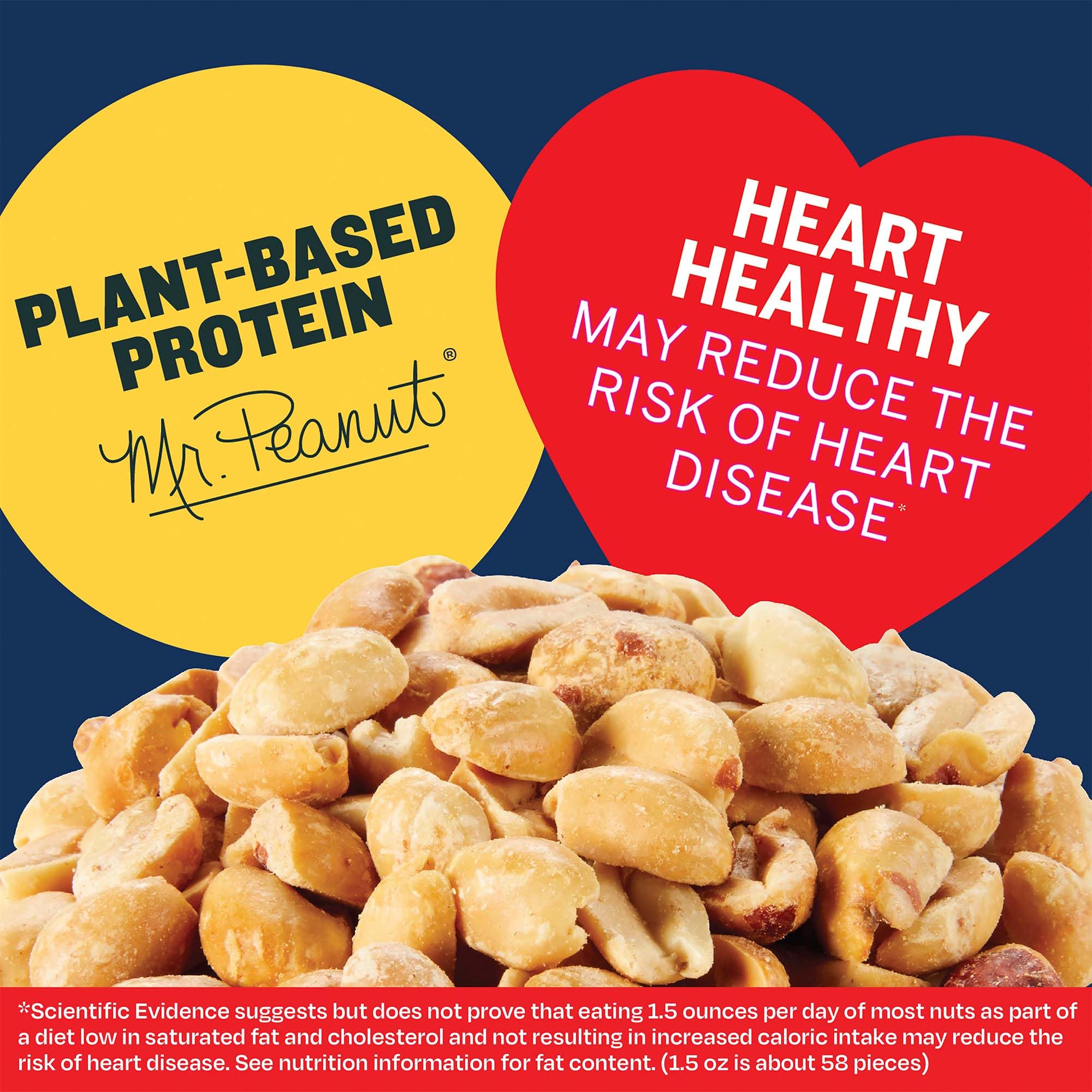 Dry Roasted Lightly Salted PLANTERS Peanuts - 6 Pack (2.2 lb Each) | Healthy Protein Snacks for Adults | Perfect for Office, Hiking & Game Day Parties