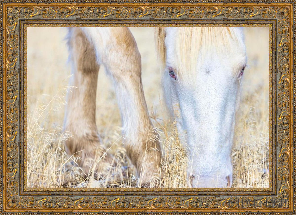 Dry Grass by Greg Sargent - Premium Handcrafted Home Decor for Rustic & Farmhouse Style - Perfect for Wall Art, Shelf Displays & Cozy Living Room Decor
