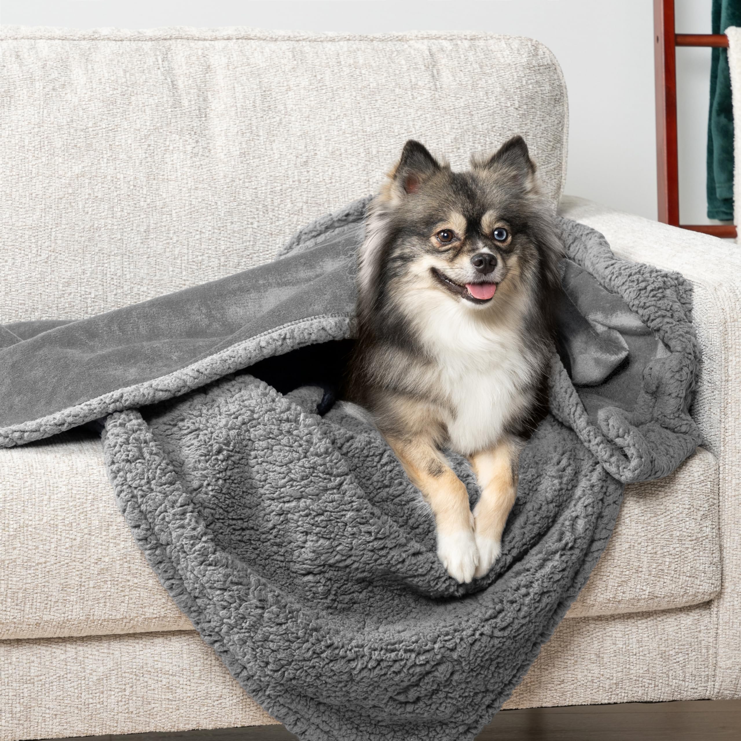 Waterproof Dog Blanket for Small & Medium Dogs - Reversible Sherpa Fleece Pet Blanket, Couch Cover & Furniture Protector (29x40 Inches, Light Gray) - Perfect for Sofa Protection, Pet Beds & Travel Use
