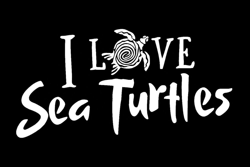 Signed Sea Turtle Art Print 24x36 - White on Black Wall Decor Poster | Perfect for Beach House, Ocean Theme Bedroom & Coastal Living Room Decor