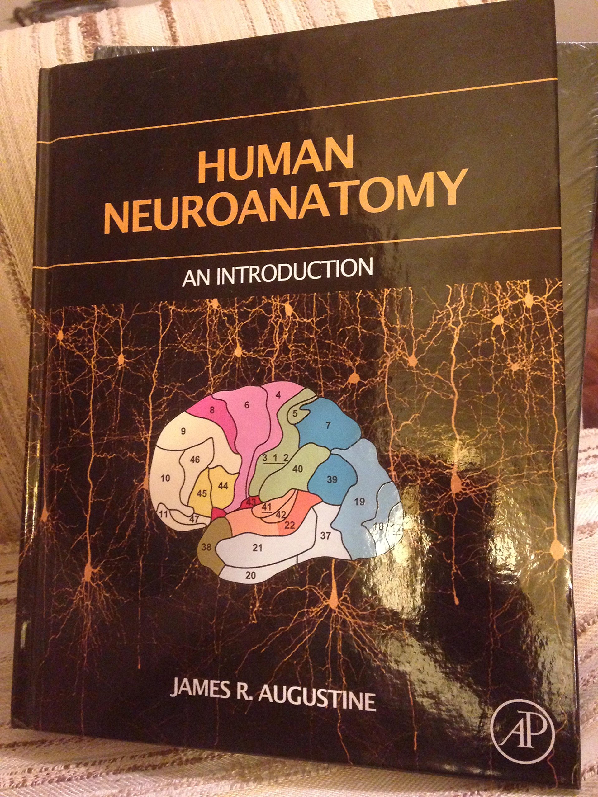 Human Neuroanatomy Textbook - Comprehensive Guide to Brain Structure & Functions | Perfect for Medical Students & Neuroscience Enthusiasts | Study, Research & Clinical Reference