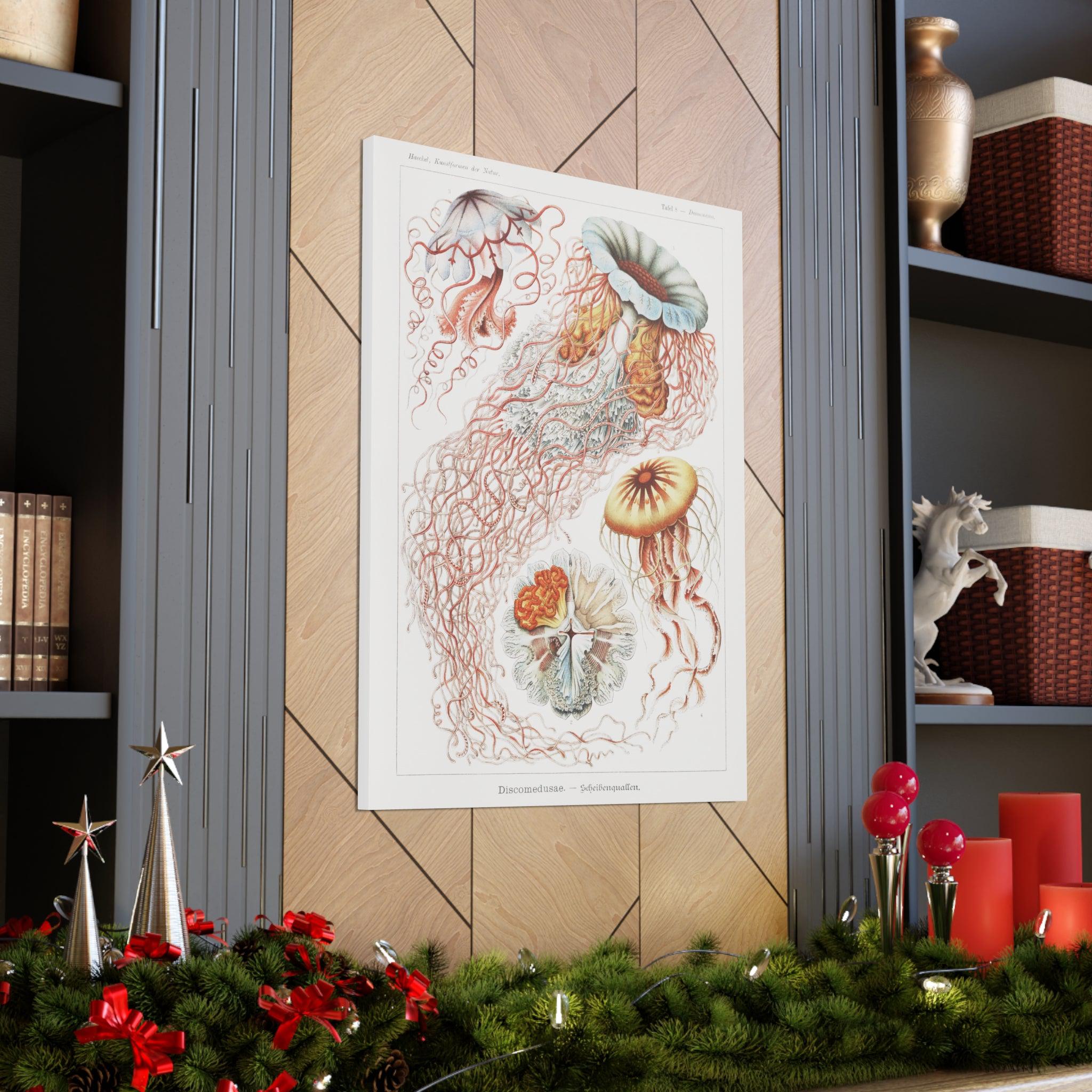 Ernst Haeckel Discomedusae Jellyfish Art Print - Vintage Marine Biology Canvas Wall Decor for Living Room, Office & Classroom
