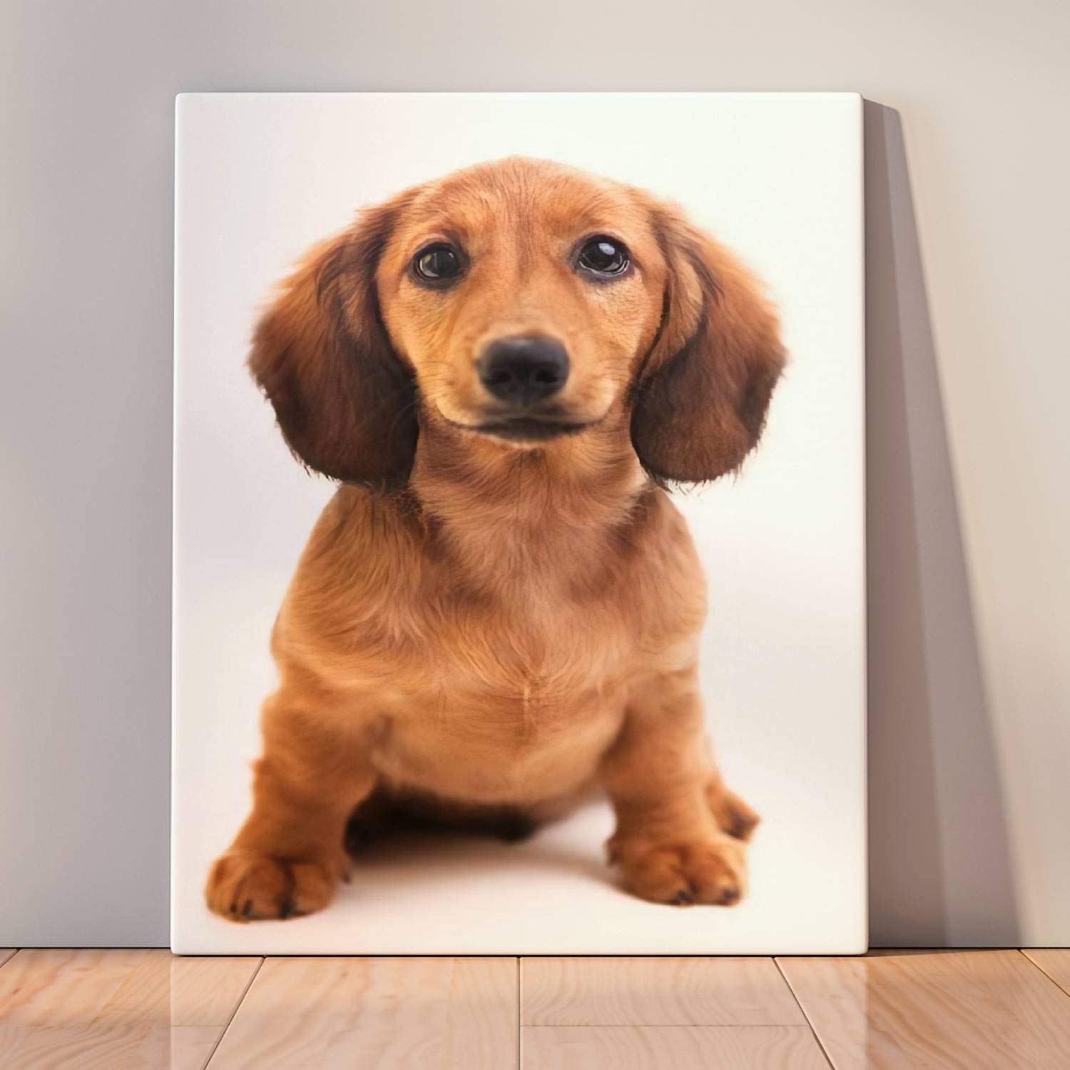 Digital Oil Painting by Numbers Kit for Kids & Adults - Beginner Friendly DIY Artwork with Frame, Perfect for Home & Office Decor - Cute Brown Dachshund Puppy on White Background - Great Gift Idea for Birthdays, Relaxation & Wall Decoration