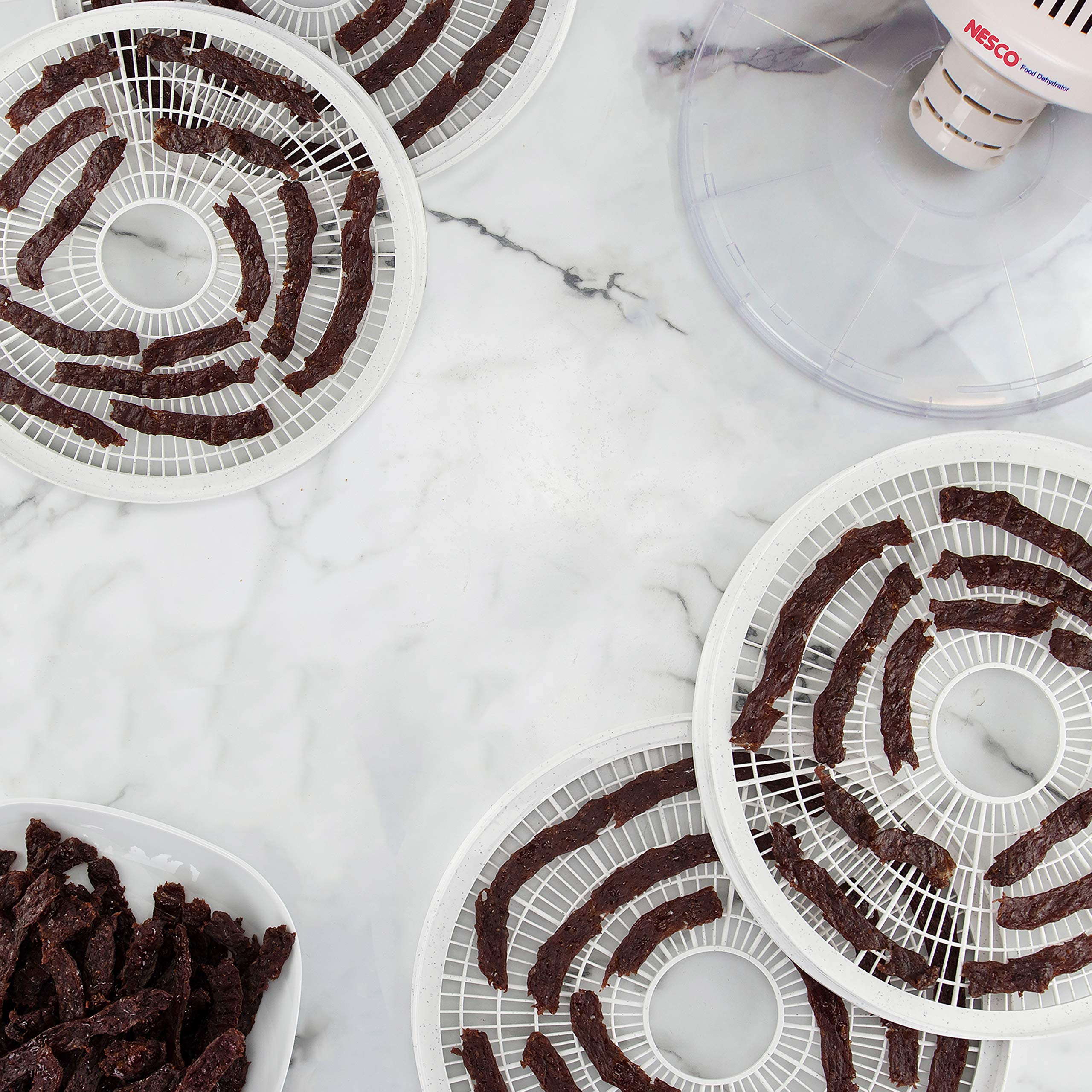 NESCO FD-37 Food Dehydrator Machine - 4 Stainless Steel Trays for Drying Fruits, Vegetables, Beef Jerky & Healthy Snacks | White/Clear Design | Perfect for Home Kitchen, Camping & Meal Prep