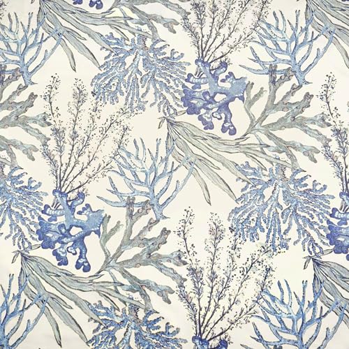 Blue Coral