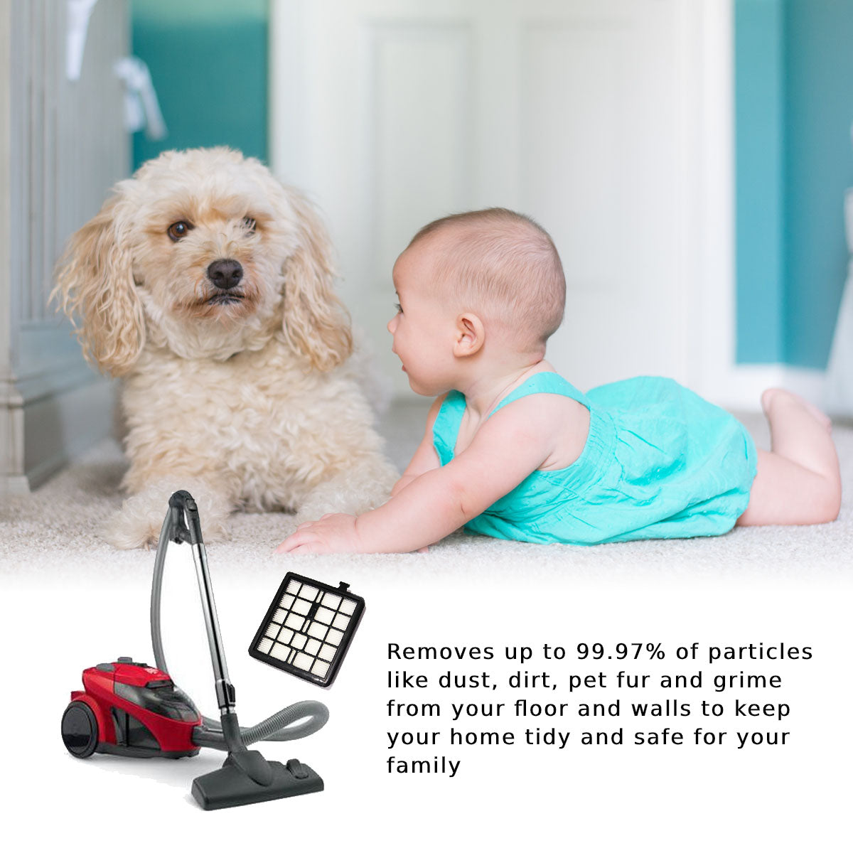 MaximalPower Replacement Filter F45 Compatible with Dirt Devil EZ Lite SD40010 & SD40000 Canister Vacuums - Perfect for Pet Hair, Dust, and Allergens Removal in Homes with Pets