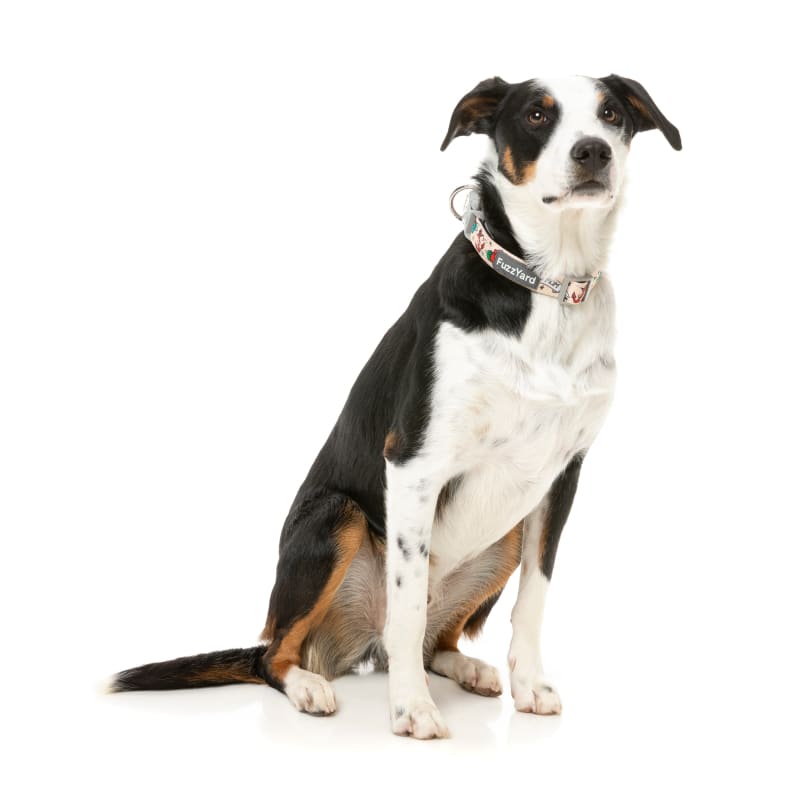 Fuzzyard Ink'd Dog Collar - Soft & Stylish Pet Collar for Small Medium Large Dogs - Perfect for Daily Walks, Training & Outdoor Adventures (3 Sizes Available)