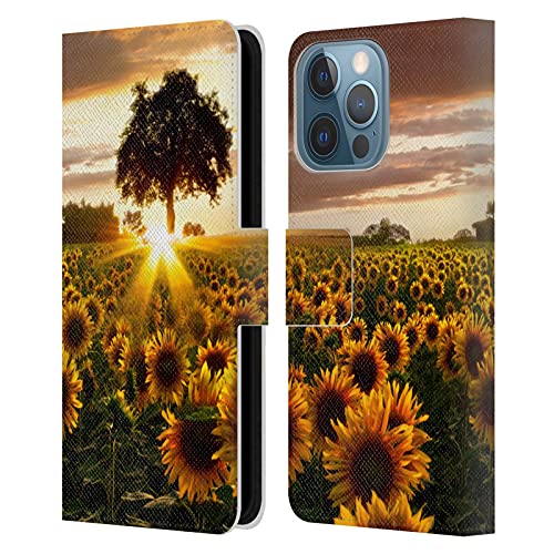 Fields Of Gold