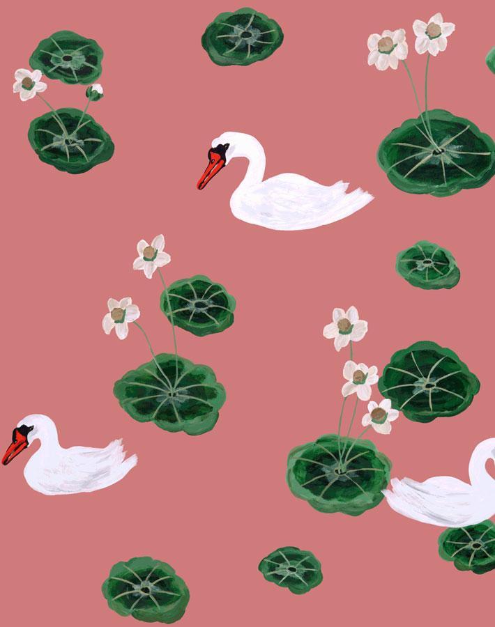 Lily Pad Lake Wallpaper by Carly Beck - Rose Floral Design for Bedroom, Living Room & Nursery Decor