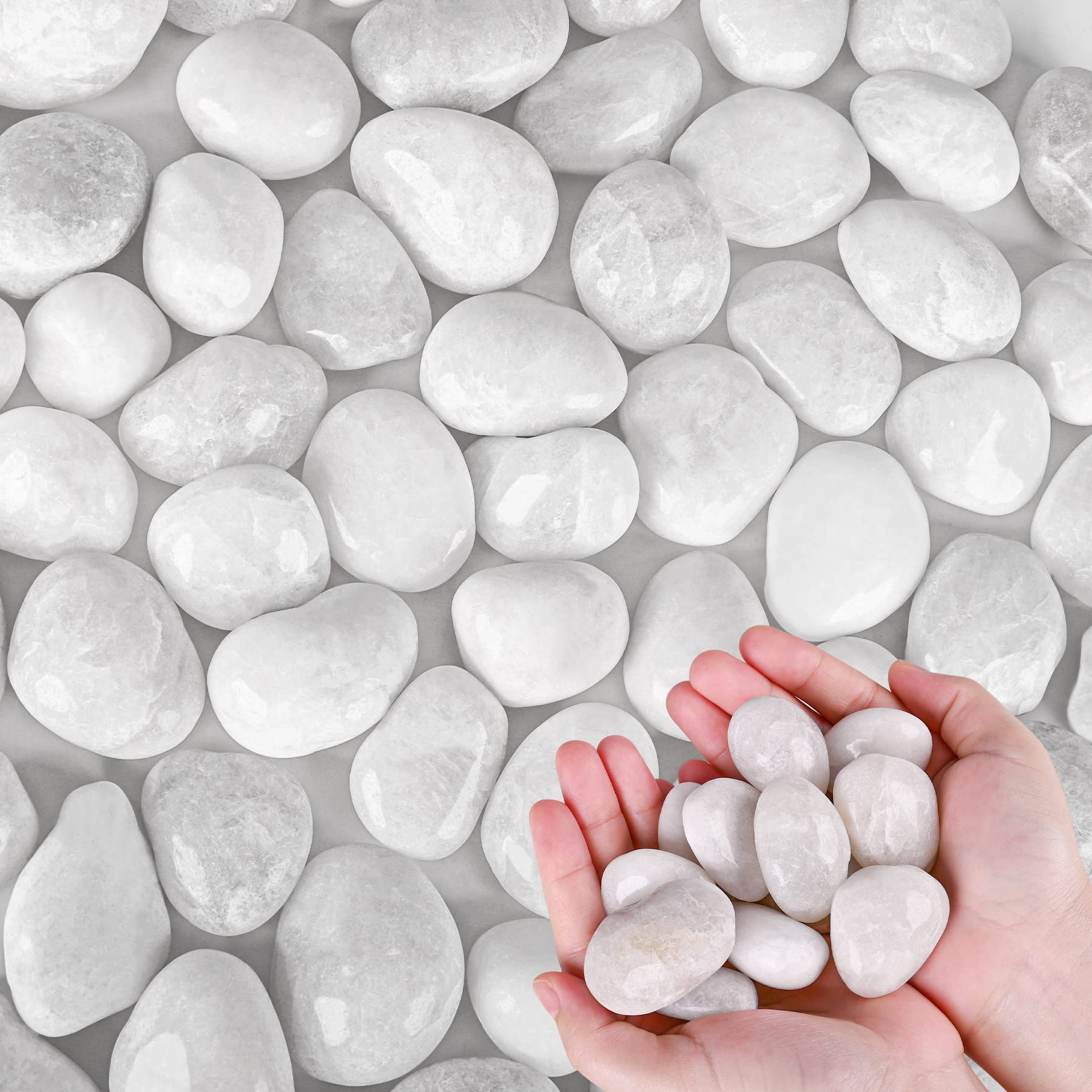 Premium White River Rocks for Plants - 5.5 LB Natural Decorative Pebbles (1