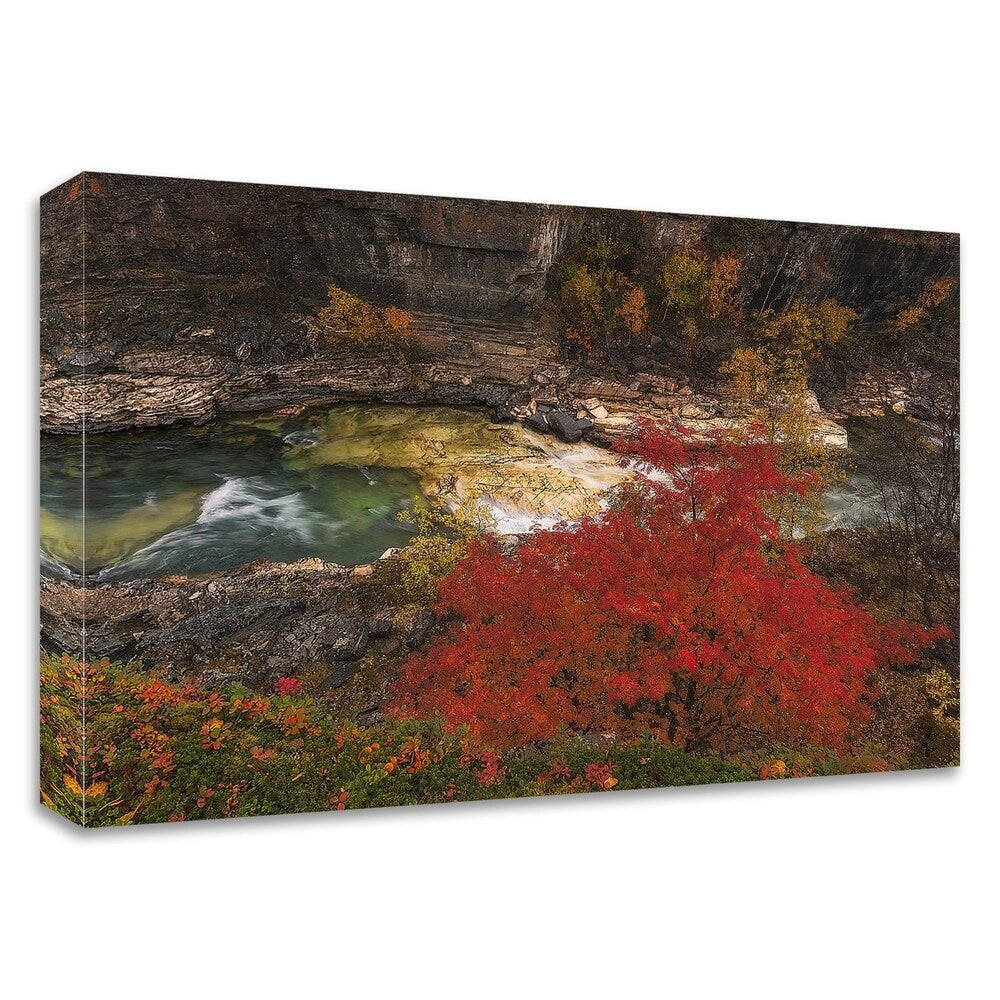 Abisko Mountain Ash by Hans Logren - Premium Canvas Wall Art Print - Framed & Ready to Hang - Perfect for Living Room, Bedroom or Office Decor