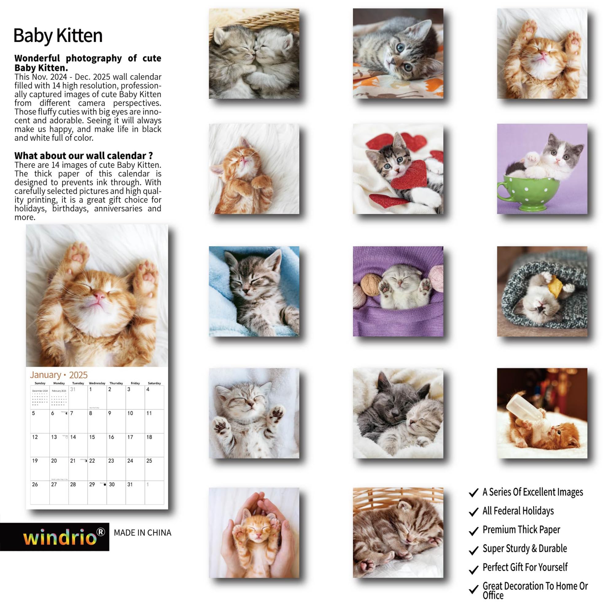 2025 Wall Calendar with Adorable Baby Kittens - January to December 2025 | 12