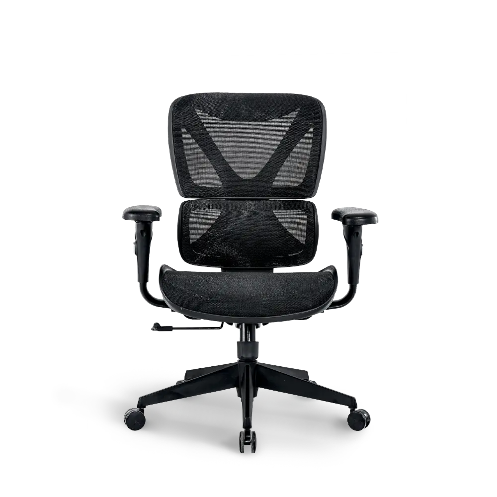 Ergonomic Office Chair with Lumbar Support - Adjustable Height & Swivel - Bea Comfortable Desk Chair for Home & Office Use - Perfect for Long Hours of Work or Gaming Sessions