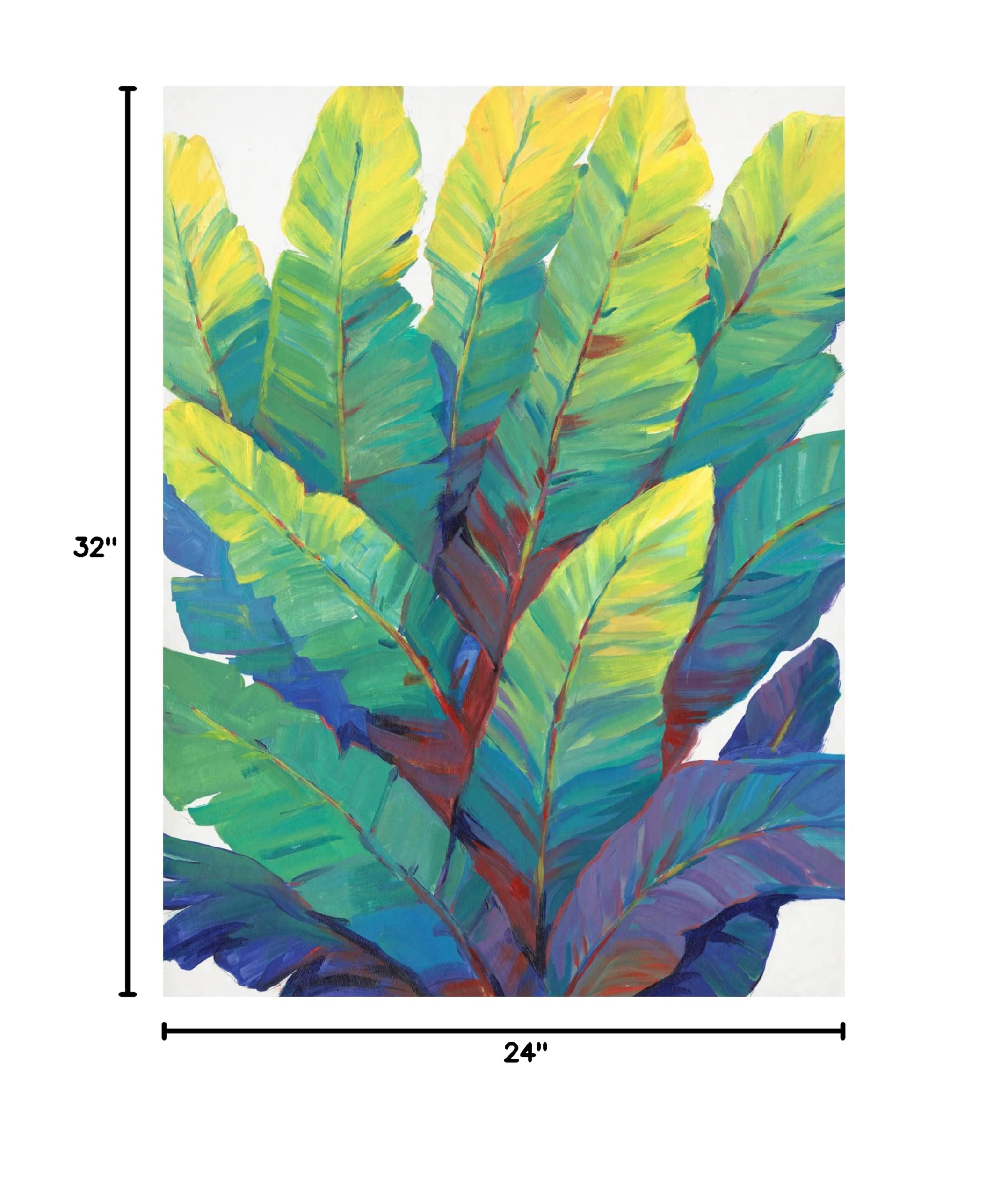 Trademark Fine Art 'Sunlit Banana Leaves II' Canvas Wall Art by Tim OToole - Tropical Botanical Painting for Living Room, Bedroom & Office Decor