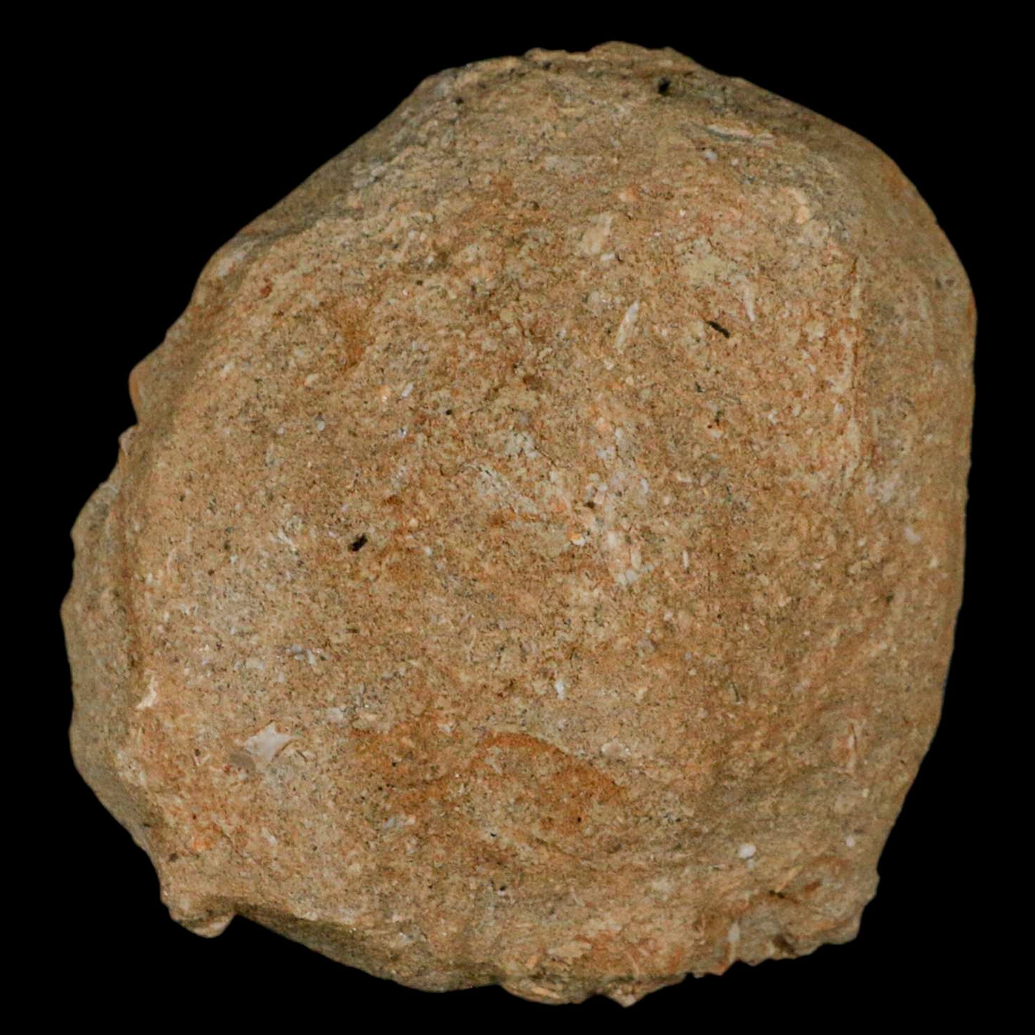 2.6