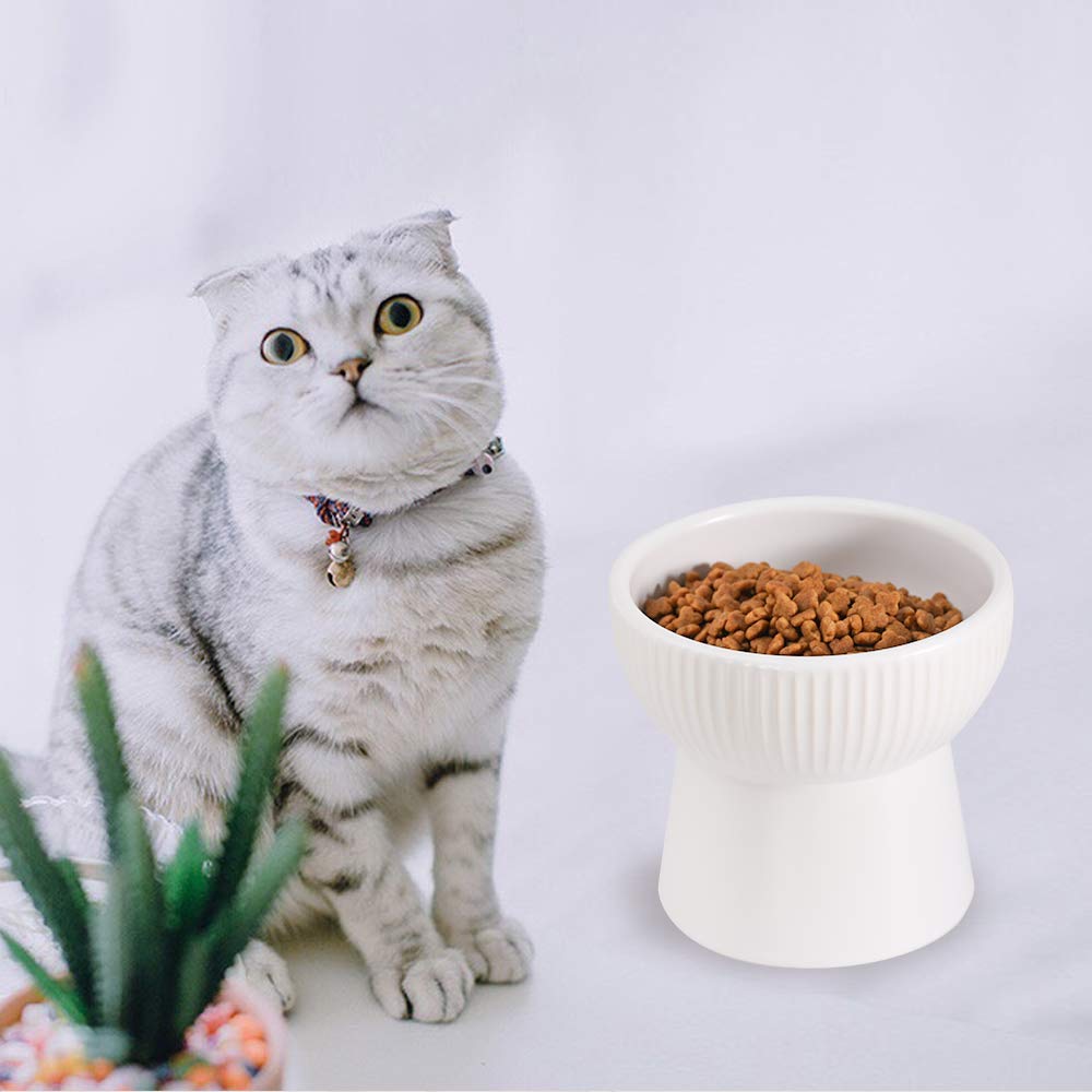 Elevated Cat Bowl - White Ceramic Raised Pet Food & Water Dish with Anti-Backflow Design, Dishwasher & Microwave Safe, Lead-Free for Stress-Free Feeding - Perfect for Kittens, Adult Cats & Multi-Pet Homes