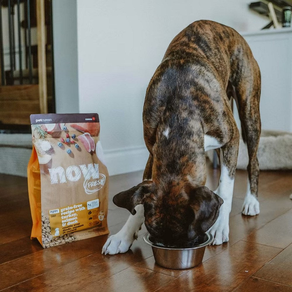 Grain-Free Puppy Dry Dog Food with Turkey, Salmon & Duck - High Protein, All-Natural Ingredients for Small Breed Puppies | Perfect for Training, Mealtime & Healthy Growth