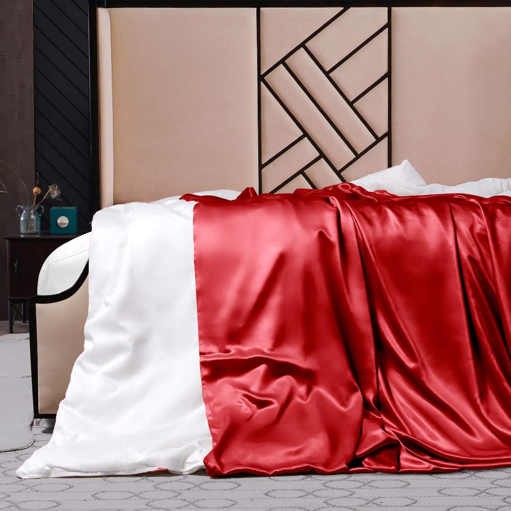 THXSILK Luxury 100% Silk Comforter Set - Twin Size Red | 2-in-1 Silk Duvet Cover & Comforter for Spring & Fall | Breathable & Hypoallergenic Bedding | Perfect for Master Bedrooms, Guest Rooms & Luxury Hotels
