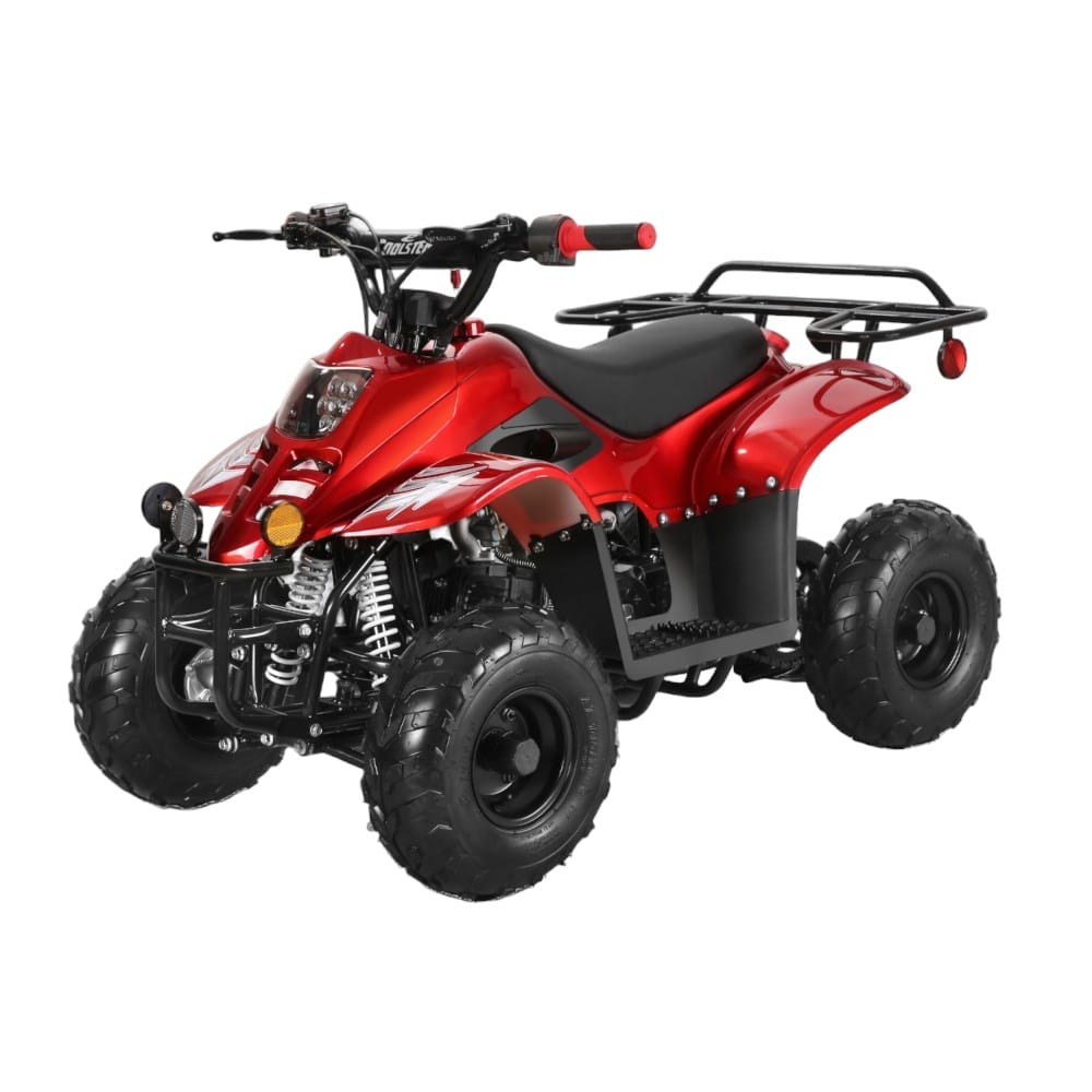 Rex 110cc ATV for Kids & Adults - 4 Stroke Automatic Transmission Dirt Bike for Off-Road Adventure & Trail Riding
