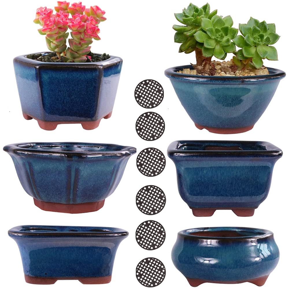 MUZHI 6-Pack Glazed Ceramic Bonsai Pots - 3