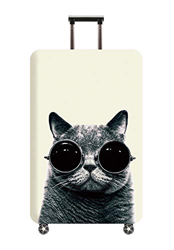 Cat#1