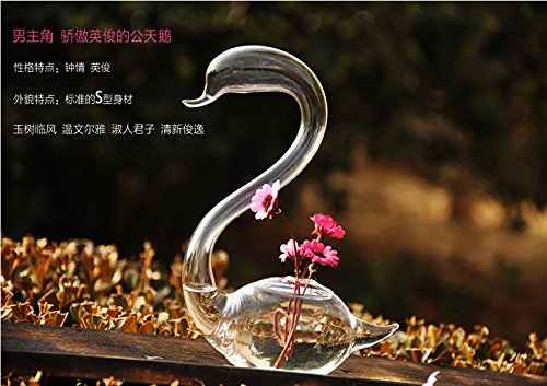 1 Pair Swan-Shaped Clear Glass Flower Vase - Elegant Home Decor for Valentine's Day, Wedding Centerpiece & Romantic Gift Idea