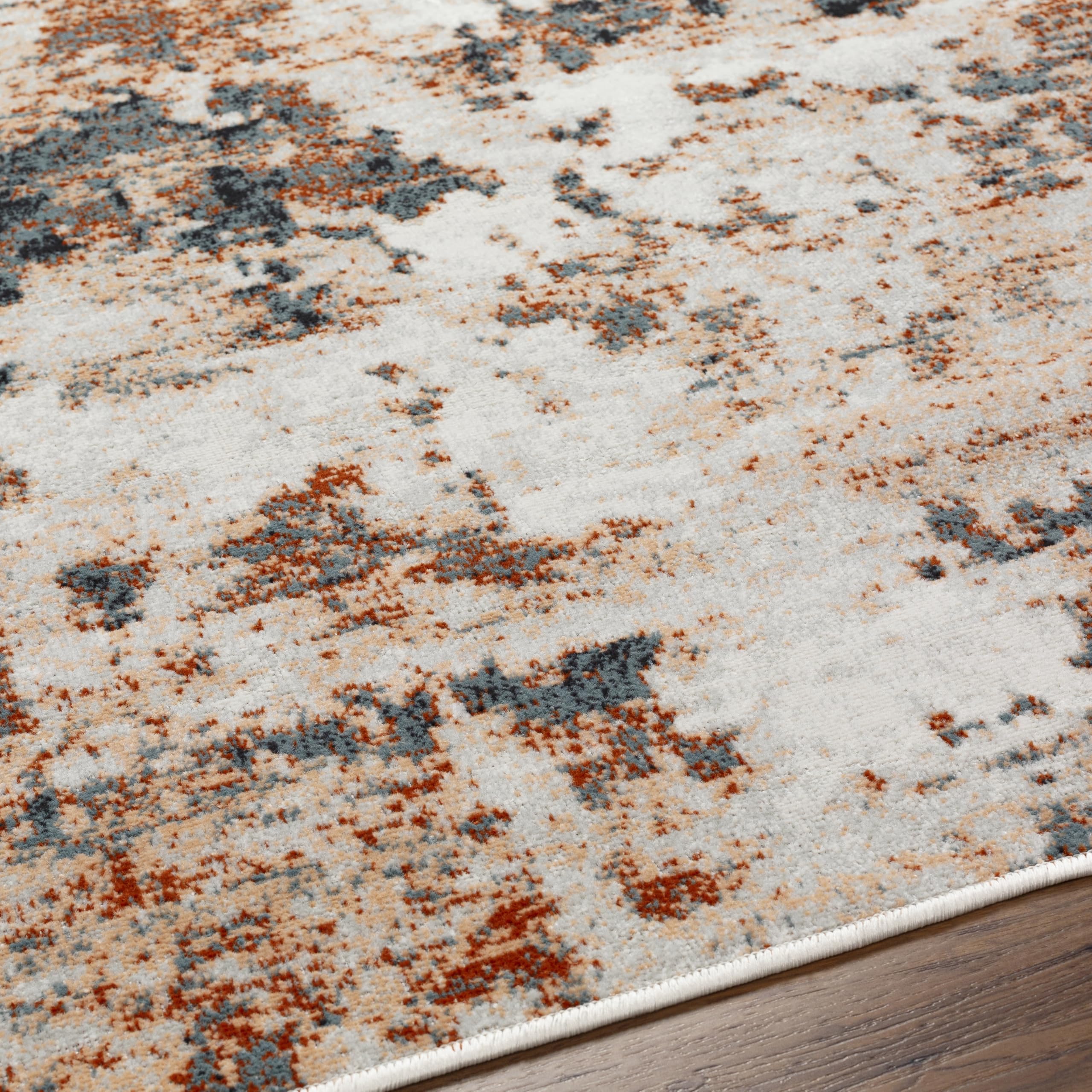 Redondo Beach Outdoor Boho Area Rug 5'3