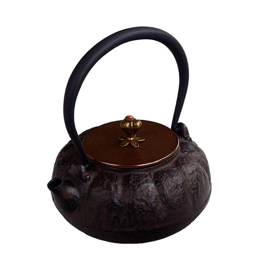 JHSHENGSHI 600ml/20oz Small Cast Iron Teapot with Copper Lid - Rust-Resistant Ceramic Kettle for Electric & Stovetop Use - Perfect for Home, Office, or Gift (Black)