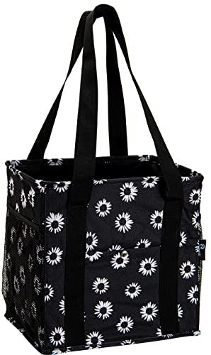 Black Daisy