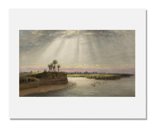 George Harvey White Pelicans in Florida - Stunning Wildlife Photography Print - Perfect for Home Decor, Office Wall Art & Nature Lovers Gift