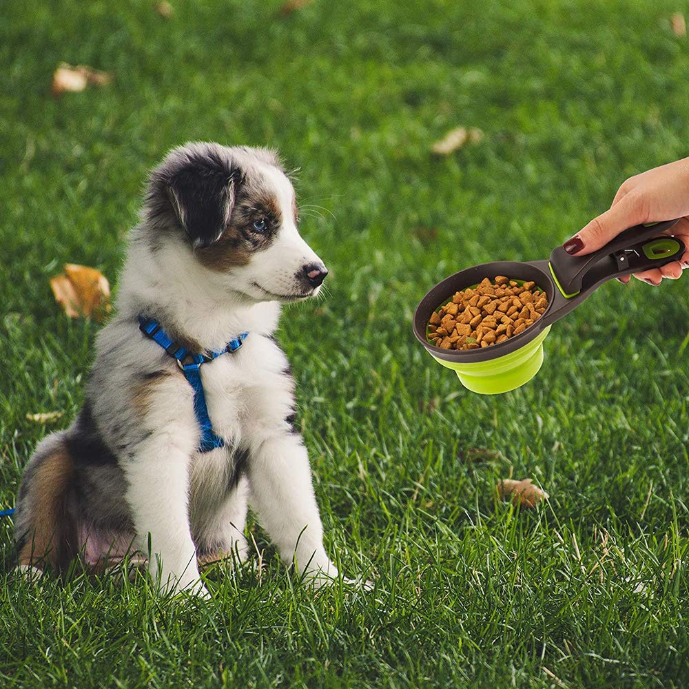 Buyter 3-in-1 TPE Pet Food Scoop with Folding Handle, Grain Bag Holder & Measuring Cup - Medium Size, Green - Perfect for Dog Food, Cat Food & Dry Pet Treats Storage