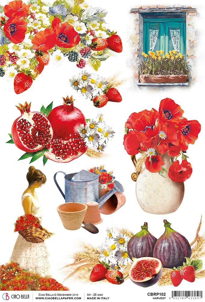 Premium Tuscan Rice Paper - Authentic Italian Harvest, Perfect for Scrapbooking, Card Making & DIY Crafts Under the Tuscan Sun