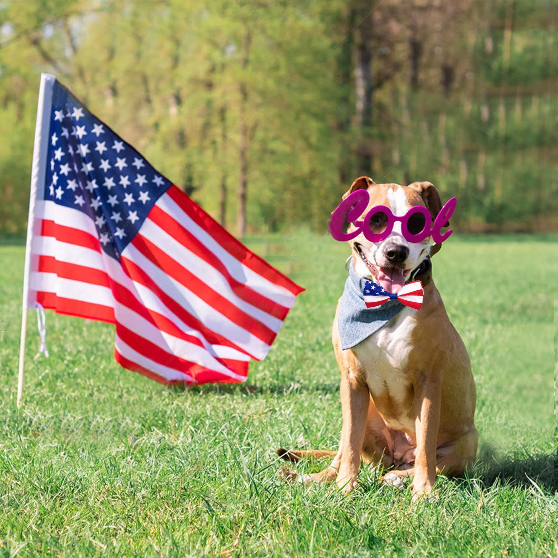 2pcs Patriotic US Flag Dog Bow Ties - Large Adjustable Collar Bowtie for Medium & Big Dogs - Perfect for Independence Day, July 4th, June 14 & Holiday Parties - Cute Grooming Accessories for Patriotic Events, Photo Shoots & Special Occasions