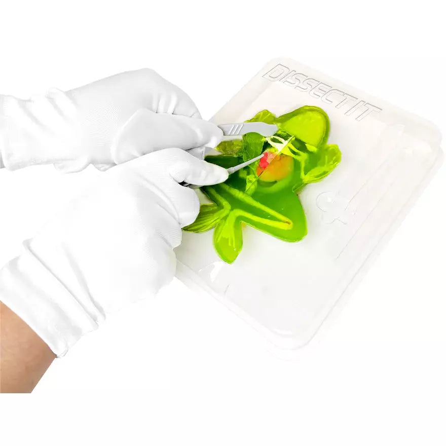 Dissect It Frog - Realistic Synthetic Dissection STEM Toy Kit for Kids, Educational Science Lab Experiment - Perfect for Classroom, Homeschool & Science Fair Projects
