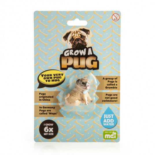 Grow Your Own Pug - Adorable Pug Plush Toy for Kids & Adults | Perfect for Cuddling, Gifts & Home Decor